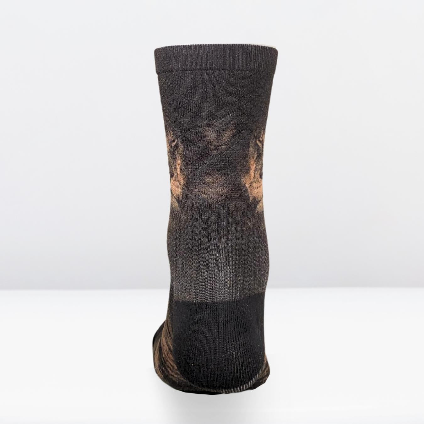 Technical socks - LION