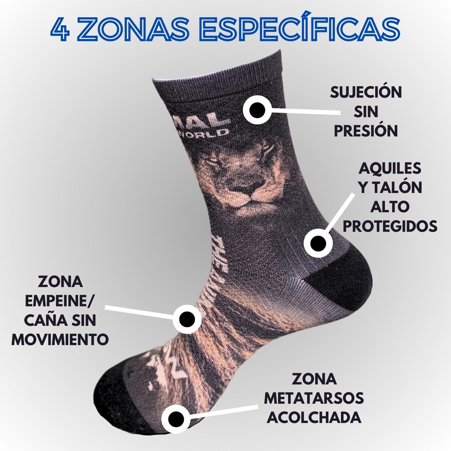 Technical socks - LION